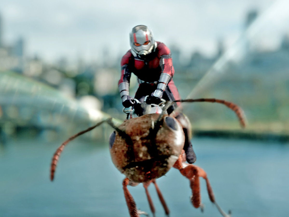 Ant-Man Ant-Man is the name of several fictional superheroes appearing in books published by Marvel Comics. Created by Stan Lee, Larry Lieber and Jack Kirby, ...